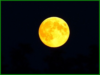 full-moon-865685_640.jpg